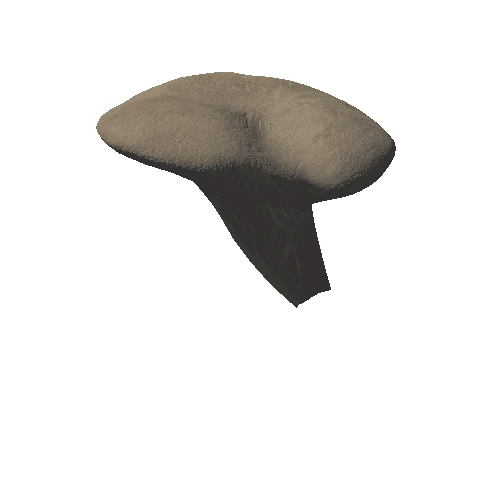 Big mushroom 10 (5,608 tris)